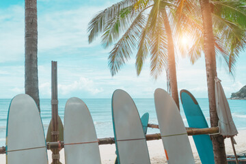 Many surfboards for rent  at summer beach with sunlight  blue sky.