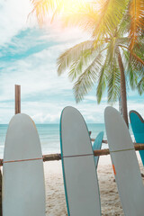 Many surfboards for rent  at summer beach with sunlight  blue sky.