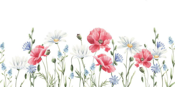 Watercolor seamless pattern with wild flowers isolated on white.