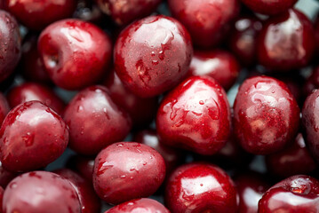Berries of ripe sweet cherries in water drops.
