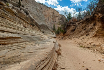 Lick Wash, a Canyon in the White Cliffs of  the Grand Staircase, Utah