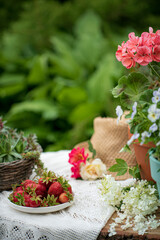 summer flowers in the garden