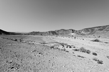 Depression and emptiness in black and white