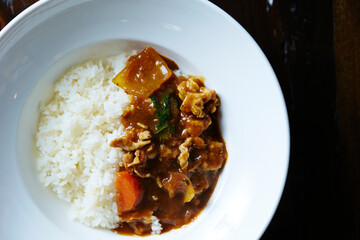 Beef Vegetable Curry in a Bowl