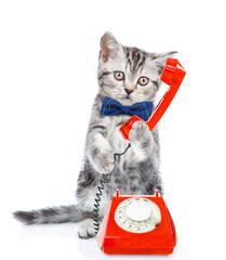 Funny kitten wearing tie bow uses a retro phone or telephone. Isolated on white background