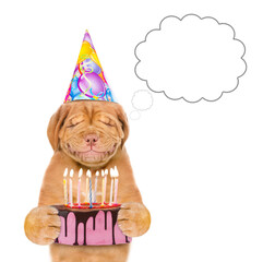 Dreaming smiling puppy with eye closed wearing a party cap makes a wish before blowing out the candles on birthday cake. isolated on white background