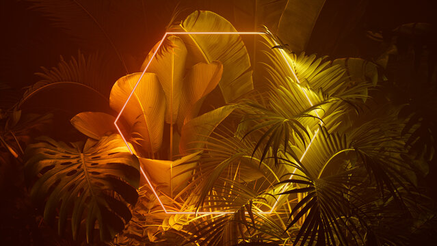 Tropical Plants Illuminated with Orange and Yellow Fluorescent Light. Nature Environment with Hexagon shaped Neon Frame.