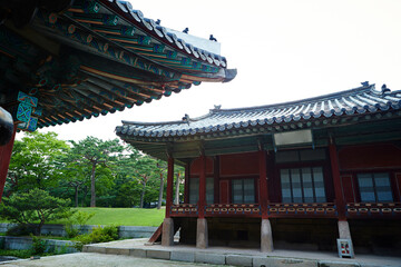 Korean traditional palace, travel in Korea	