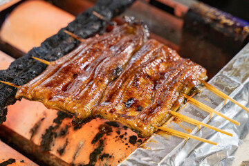 皮がパリパリで身がふっくらな鰻の炭火焼き1
