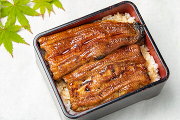 美味しそうな鰻重と紅葉2