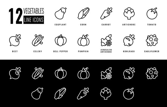Set vegetable icons tomato, pumpkin, beet, carrot, artichoke, bell pepper, eggplant, kohlrabi, cauliflower, maize, pumkin, celery. Isolated vector icons in Line style for app, website.