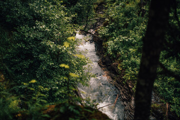 Fototapeta na wymiar waterfall in the forest Switzerland
