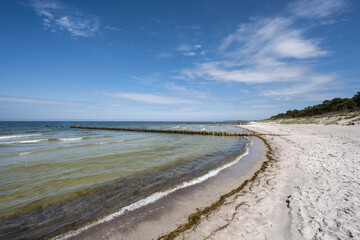 Sandstrand bei Neuendorf auf der Insel Hidensee