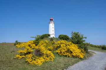 Der Leuchtturm Dornbusch auf der der Insel Hidensee