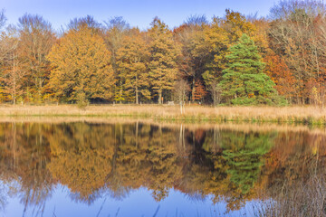 Colorful trees reflecting in the water in Borger, Netherlands
