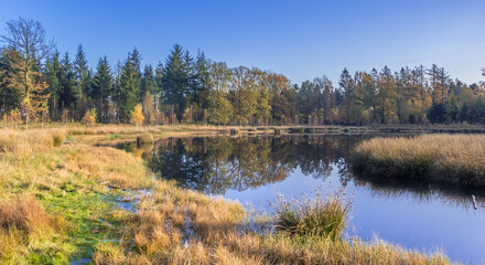 Panorama of a little lake in the nature preserve of Borger, Netherlands