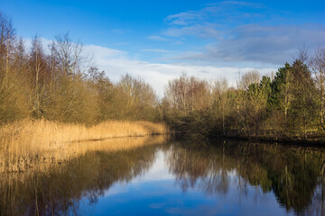Little lake at the Schildmeer area in Groningen, Netherlands