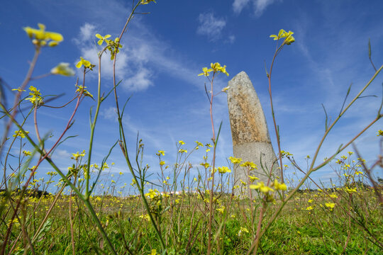menhir de Bulhoa ,  proximo a Monsaraz, Telheiro, Alentejo, , Portugal