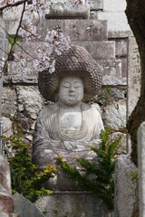 金戎光明寺のアフロ仏と桜