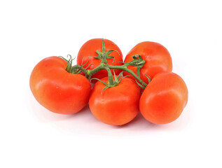 Round red truss tomatoes, also called vine tomato, on white background
