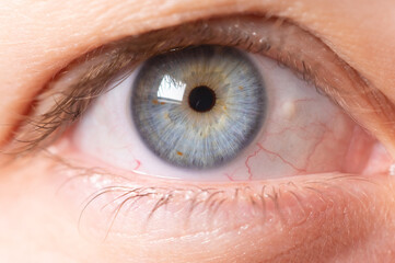 Close-up of a female human eye in grey-blue color