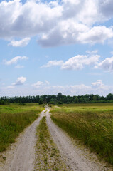Fototapeta na wymiar A long road in an arable field. A beautiful field road