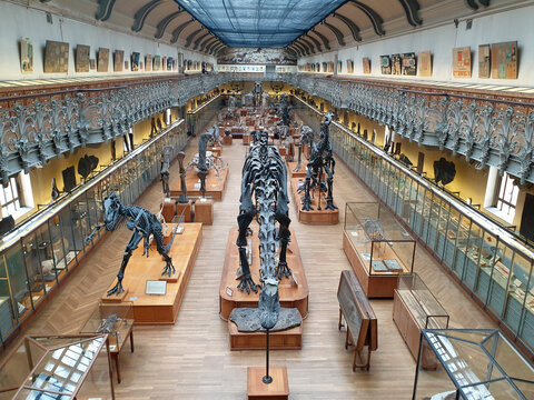 Museo di storia naturale Parigi