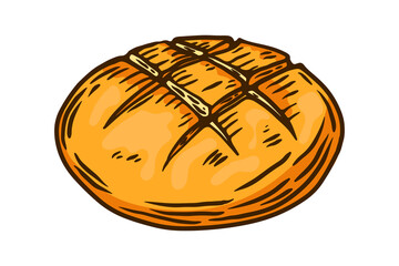 Hand drawn bread illustration. Design element for package, banner, flyer, card. Vector illustration