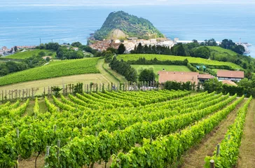 Gordijnen Wijngaarden aan zee in Getaria, kust van Baskenland © poliki