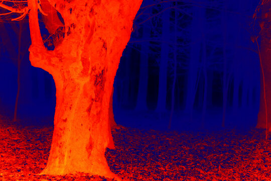 รูปภาพBolometer เลือกดูภาพถ่ายสต็อก เวกเตอร์ และวิดีโอ733 Adobe Stock