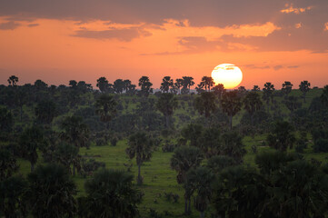 Sunrise in Murchonson Falls National Park Uganda