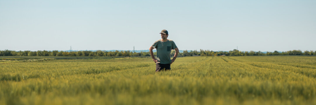 Panoramic image of middle-aged farmer with hands on hips standing in unripe barley crops field and looking over plantation, wearing green t-shirt and trucker hat on bright sunny spring day