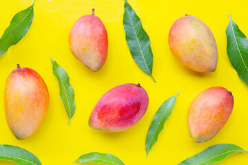 Tropical fruit, Mango  on yellow background. Top view