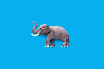 Plastic elephant toy on blue background.