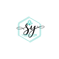 SY signature logo template vector	