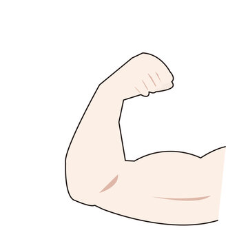 力こぶ の画像 699 件の Stock 写真 ベクターおよびビデオ Adobe Stock