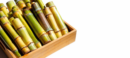 Sugar cane on white background.