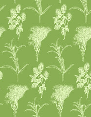 Herbs, seamless pattern. Spice wallpaper in vector