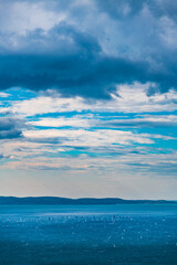 Barcolana. Largest regatta in the world. Trieste