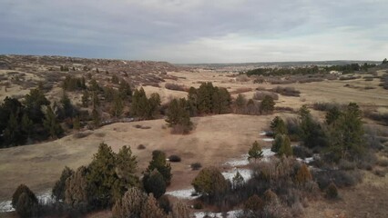 Trees in Valley With Beautiful Nature Scenery B Roll • Aerial Drone Footage Flying From Above • Cloudy Day in Winter with Snow in Colorado USA