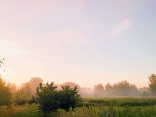 Fototapeta na wymiar Foggy summer morning field. Beautiful sunrise on a meadow in Vladimir Oblast, Russia. Ecotourism and wild nature.