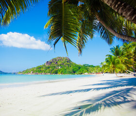 Vacation summer holidays background wallpaper - sunny tropical Caribbean paradise beach with white...
