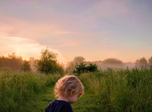 Foggy summer morning field. Beautiful sunrise on a meadow in Vladimir Oblast, Russia. Ecotourism and wild nature. Travelling with kids, toddlers.