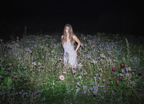 รูปภาพAlright – เลือกดูภาพถ่ายสต็อก เวกเตอร์ และวิดีโอ247,793 | Adobe Stock