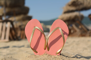 Stylish flip flops in sand on beach