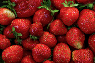 Heap of ripe red strawberries as background, closeup