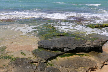 Rocky shore of the Mediterranean Sea in northern Israel.