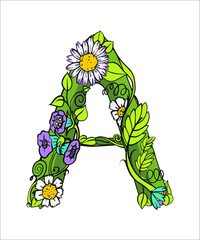 The letter A. Vector. Contour colored beautiful letter with floral decor. Suitable for lettereng, alphabet, business cards, personalized invitations and printing on T-shirts.