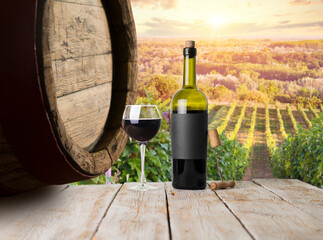 Ripe wine grapes on vines in Tuscany, Italy. Picturesque wine farm, vineyard. Sunset warm light
