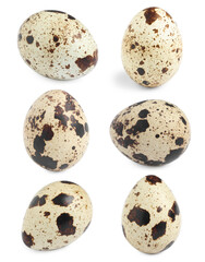 Fototapeta premium Set with quail eggs on white background